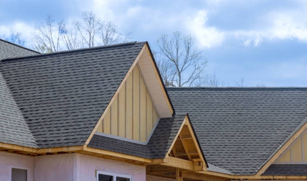 Asphalt Shingles Roofing in Carrizo Hill, TX